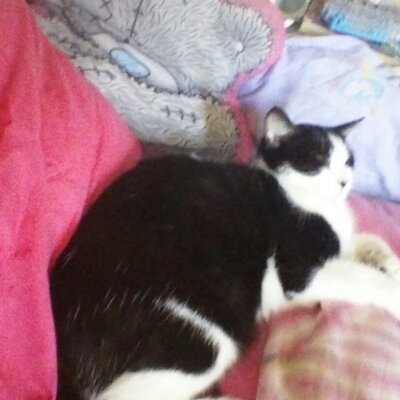 Profile Picture of Miranda Rowe (@MirandaRowe) on Twitter