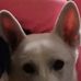 Profile Picture of Steven Domenick (@steven.domenick.33) on Facebook