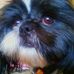 Profile Picture of Beth Manke (@beth.manke.3) on Facebook