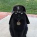 Profile Picture of Tom Olvera (@tom.olvera.71) on Facebook