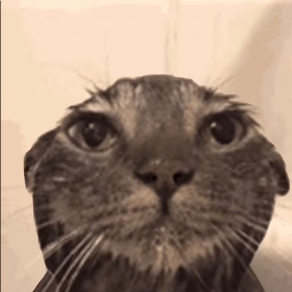 Profile Picture of Jake Mason (@jmsnz81) on Poshmark