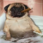 Profile Picture of Jason A. Frizzelle (@jason.a.frizzelle) on Facebook