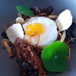Profile Picture of Ian Kerr (@chefiankerr) on Instagram