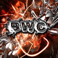 Profile Picture of Bill Waggoner Crew (@BWCtv) on Twitter