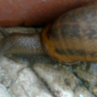 Profile Picture of Cristal Archbold (@cristal.archbold.5) on Facebook