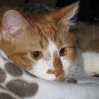 Profile Picture of Kim Beedle (@kim-beedle) on Quora