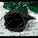 Profile Picture of Alexia Ayala (@ayalaalexia) on Instagram