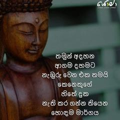 Profile Picture of Thamara Prndo (@thamaraprndo) on Tiktok