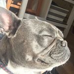 Profile Picture of Paula Heffernan (@paulaheffernan16) on Instagram