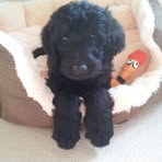 Profile Picture of Jack Pochin (@Jack-Pochin) on Facebook