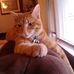 Profile Picture of Marsha Meyer (@marsha.meyer.902) on Facebook