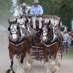 Richard Geldard - Instagram Profile Picture of Richard Geldard (@geldardrichard) on Instagram