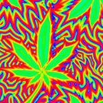 Profile Picture of Mike Coffin (@coffin.mike) on Instagram