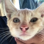 Profile Picture of Brian Nava (@yabbogue) on Flickr