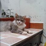 Profile Picture of ursula_anders (@ursula_anders) on Instagram