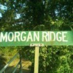 Profile Picture of Morgan Ridge (@jasoncottis) on Instagram