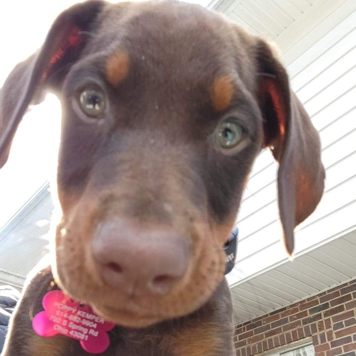 Profile Picture of Debbie Kemper (@debbiekemper) on Tiktok