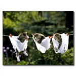 Profile Picture of Ruby Keaton (@kasieholbe0438qz) on Instagram