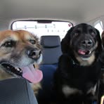 Scott Krupinski - Facebook Profile Picture of Scott Krupinski (@Scott-Krupinski) on Facebook