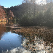 Profile Picture of Alice Jordan (@alicejordan6252) on Youtube