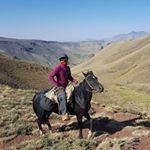 Profile Picture of Tomas Carrillo. (@tom.82) on Instagram