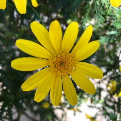 Profile Picture of David Huy (@Davidhuy79) on Twitter