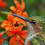 Profile Picture of Emilia Sipac (@Emilia-Sipac) on Facebook