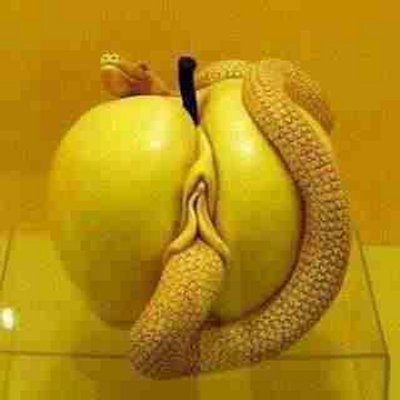 Profile Picture of Andy Devey (@PincheBluenose) on Twitter