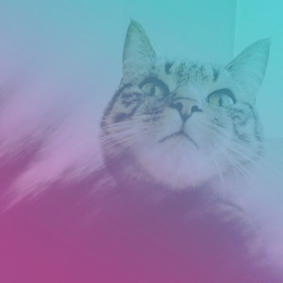 Profile Picture of HTCPCP/1.0 ☕️ (@outadoc) on Twitter