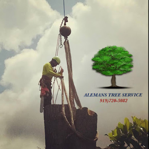 Profile Picture of Aleman’s tree service llc Aleman (@adieleon3) on Poshmark