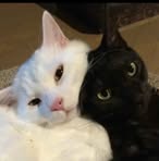 Profile Picture of 顾志浩 (@顾志浩) on Facebook