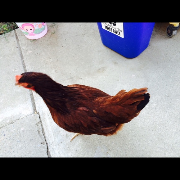 Profile Picture of Samantha Molina (@sammy450) on Poshmark