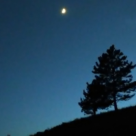 Profile Picture of Mike Beaver (@mikebeaver) on Poshmark