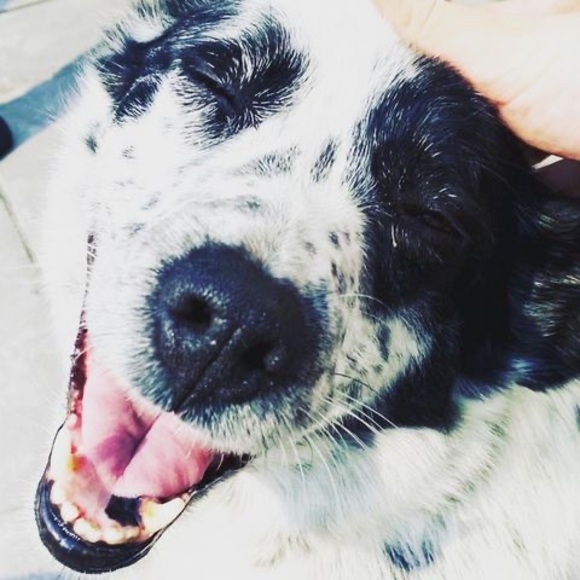 Profile Picture of Michal Metzkow (@uthollie) on Poshmark