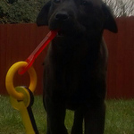 Profile Picture of Tina Holmes (@tina.holmes47) on Flickr