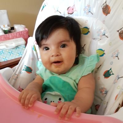 Profile Picture of Joe Suárez Davalos (@davalos_joe) on Twitter