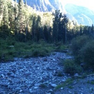 Profile Picture of Jim Singletary (@imogenepassrun) on Twitter