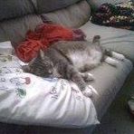 Vee Campbell - Facebook Profile Picture of Vee Campbell (@vcampbellp) on Facebook