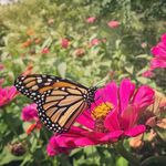 Profile Picture of Jeffrey Tomasi (@jgtomasi) on Instagram