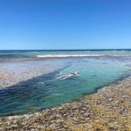 Profile Picture of Melissa Radloff (@melissa.launer) on Facebook