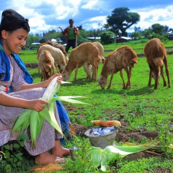 Profile Picture of Melaku Dejen (@bsuma4504) on Poshmark