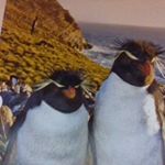 Profile Picture of George Shipp III (@georgewshippiii) on Instagram