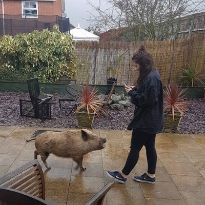 Profile Picture of Amy Irvine (@AmeliaIrvine) on Twitter