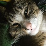 Profile Picture of Colin Hunter McAlister (@colin.mc3) on Instagram