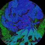 Profile Picture of Wulkan (@wulkan__) on Instagram