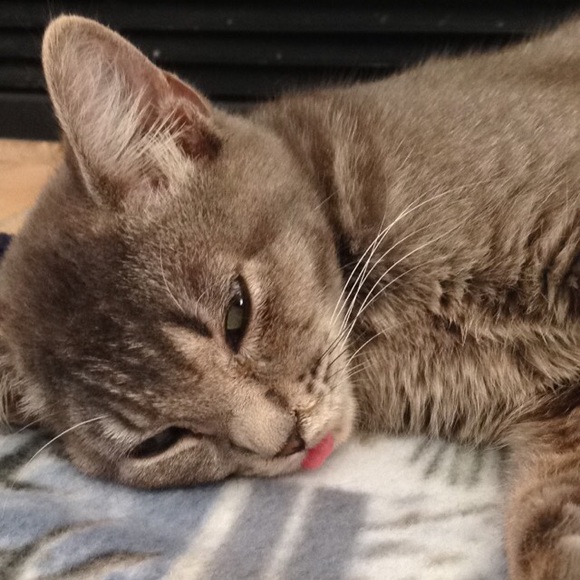 Profile Picture of Riley Katich (@rileykatich) on Poshmark