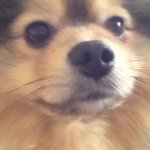 Profile Picture of Max (@maxhaugen1) on Instagram