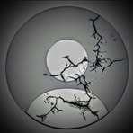 Profile Picture of Alejandro Murcia (@Alejandro-Murcia) on Facebook