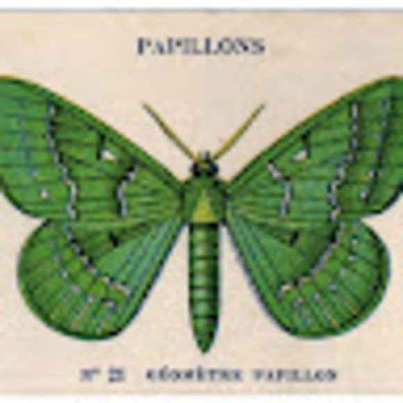 Priscila Kligerman - Poshmark Profile Picture of Priscila Kligerman (@pkligerman) on Poshmark