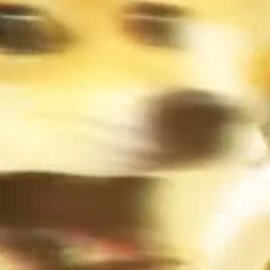 Profile Picture of Lucas Hacker (@RayyCurry) on Twitter